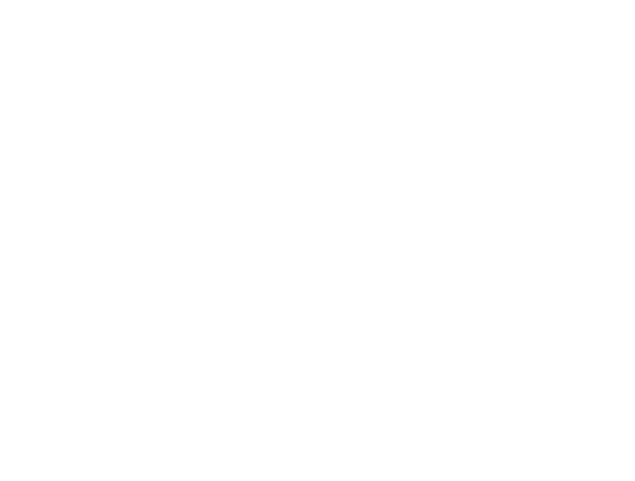 The Haney Group